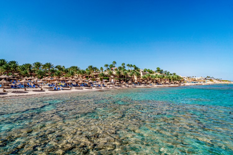Sharm El Sheikh - Mer rouge - Club 4* all Inclusive - CHAMBRE INDIVIDUELLE