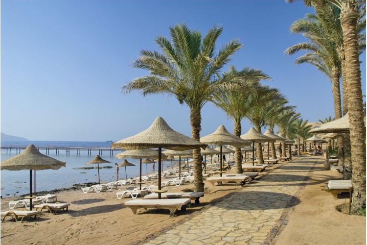 Sharm El Sheikh - Mer rouge - Club 4* all Inclusive - CHAMBRE INDIVIDUELLE