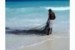 Zanzibar  Club 4* Tout inclus Kiwengwa