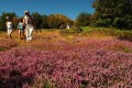 Rando en Haute Loire - Hôtel 3* - pension complète