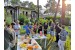 Club Latino - Arcachon