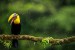 Découverte du Costa Rica