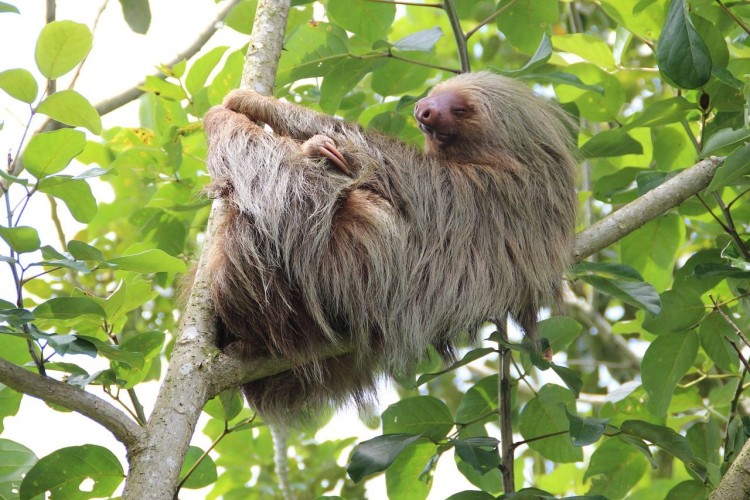 Découverte du Costa Rica