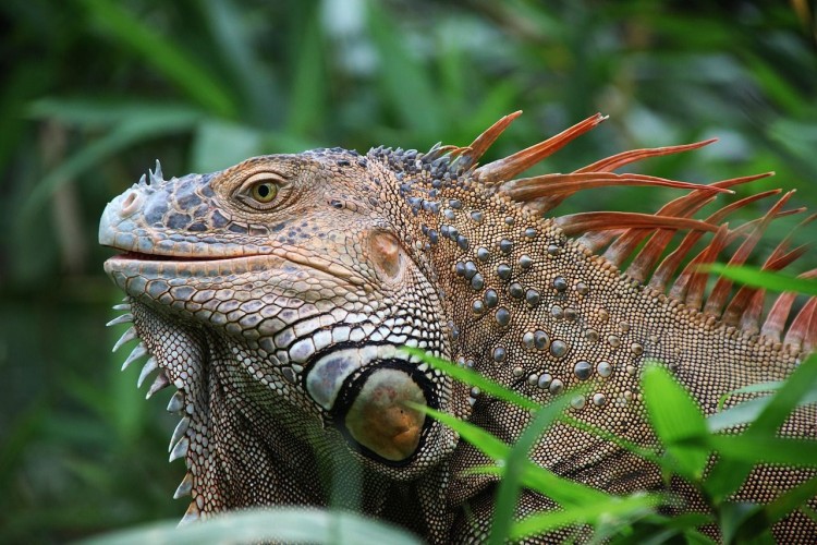 Découverte du Costa Rica