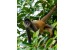 Découverte du Costa Rica
