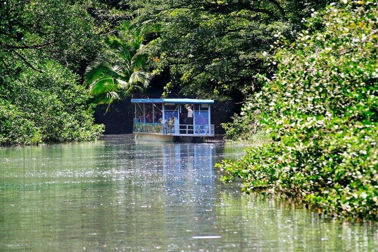 Découverte du Costa Rica