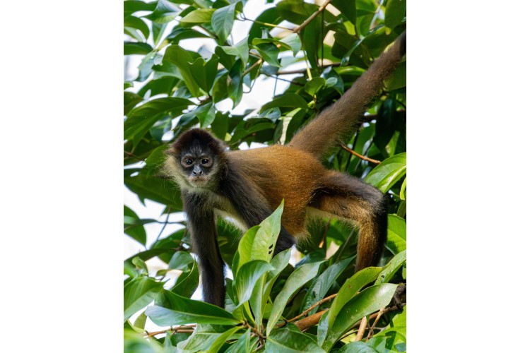 Découverte du Costa Rica