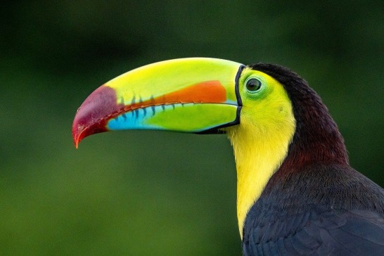 Découverte du Costa Rica