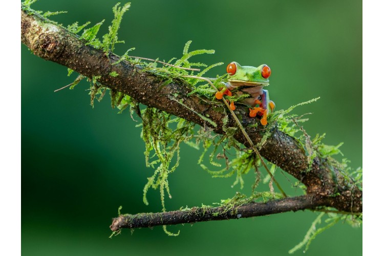 Découverte du Costa Rica