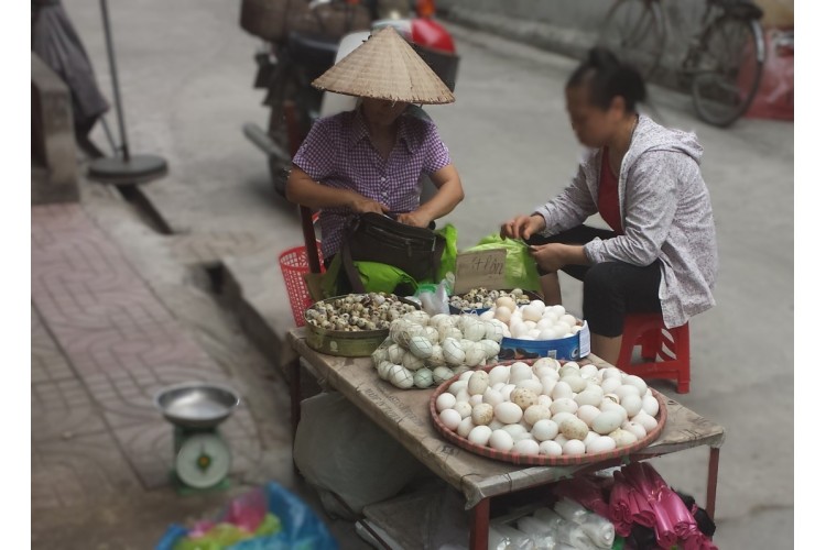Découverte du Vietnam - chambre individuelle