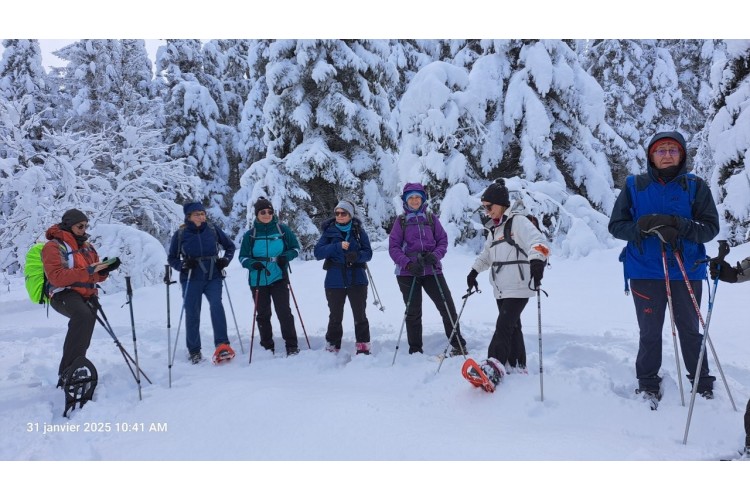 NOUVEL AN Rando Raquettes en Haute Loire