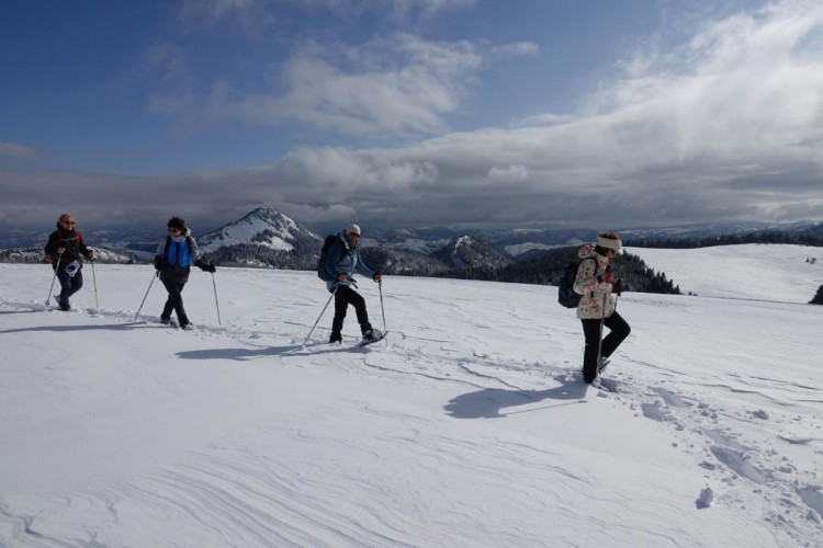 NOUVEL AN Rando Raquettes en Haute Loire