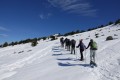 NOUVEL AN Rando Raquettes en Haute Loire