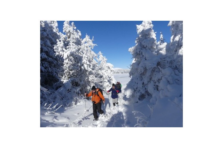 NOUVEL AN Rando Raquettes en Haute Loire