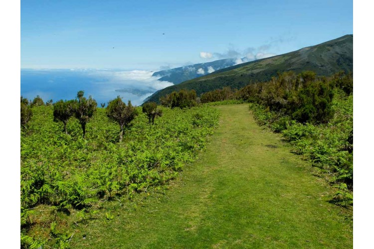 Découverte de Madère