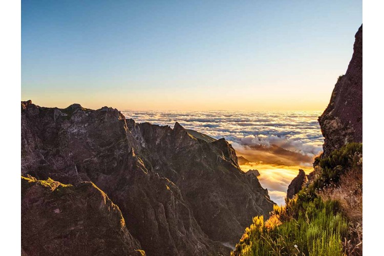 Découverte de Madère