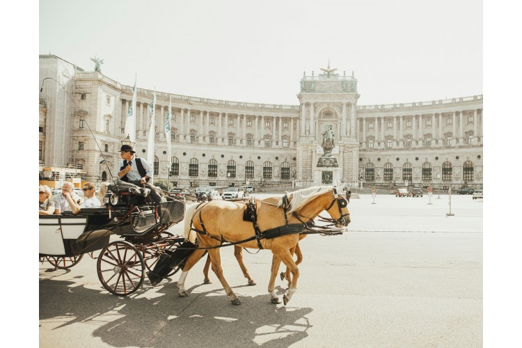 Escapade 100% Soloways à Vienne