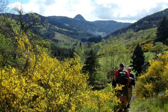 Rando en Haute Loire - Hôtel 3* - pension complète