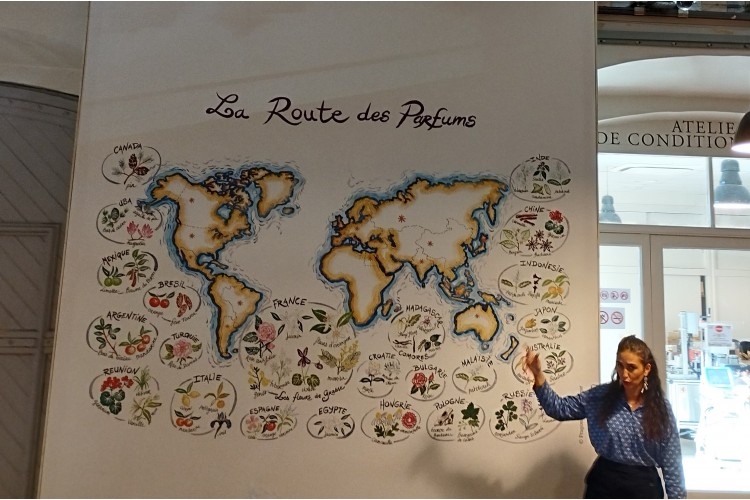 Grasse Club 3* en Chambre individuelle SANS SUPPLEMENT