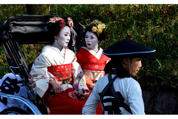Découverte du Japon - chambre individuelle