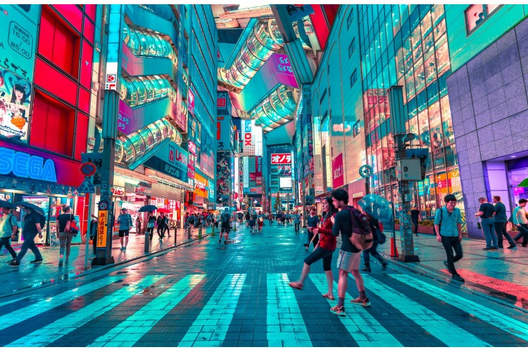 Découverte du Japon - chambre individuelle