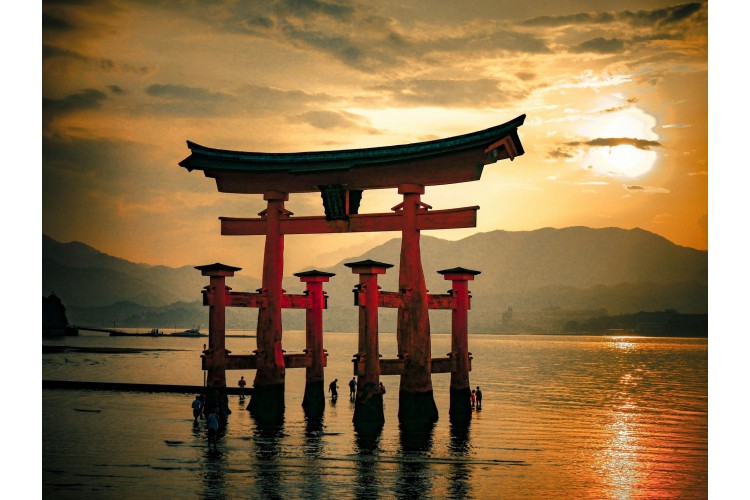 Découverte du Japon - chambre individuelle