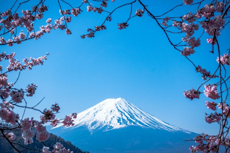 Découverte du Japon - chambre individuelle