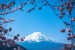 Découverte du Japon - chambre individuelle