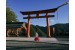 Découverte du Japon - chambre individuelle