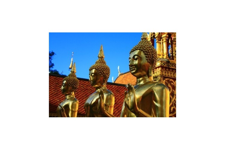 Découverte de la Thaïlande - Chambre individuelle