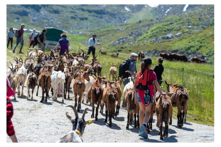 Rando & Spa - Val Thorens