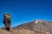 OVS Tenerife Club 4* all inclusive