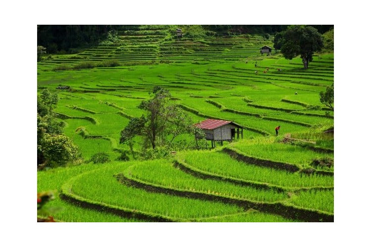 Vietnam et Thaïlande - chambre individuelle