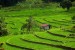 Vietnam et Thaïlande - chambre individuelle