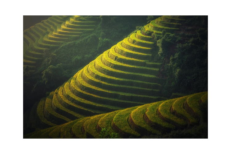 Vietnam et Thaïlande - chambre individuelle
