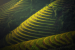 Vietnam et Thaïlande - chambre individuelle